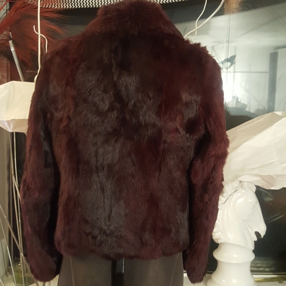 Jacques Saint Laurent For City Fur - Picture 6 of 8